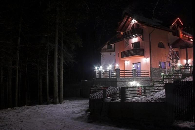 Готель Pensiunea Turistica Delmonte Holiday Сіная Екстер'єр фото